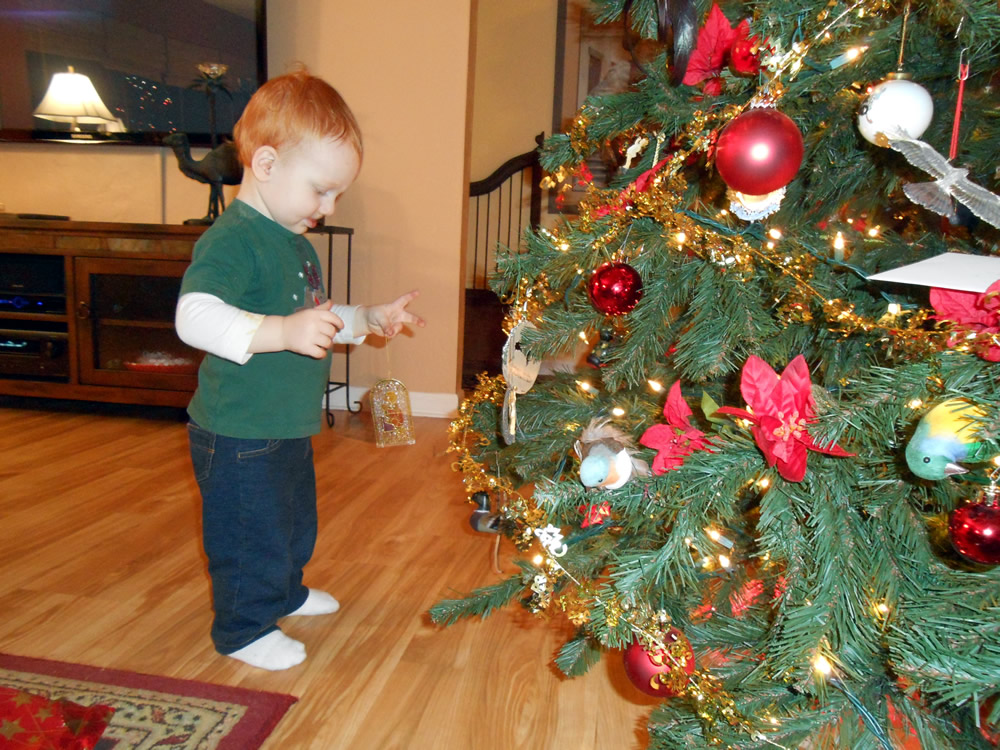 Grandma's tree sure has a lot more ornaments near the bottom to play with!