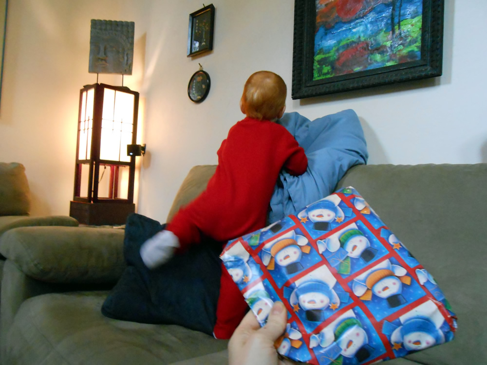 It took a little work to get him interested - he'd rather climb on the couch.